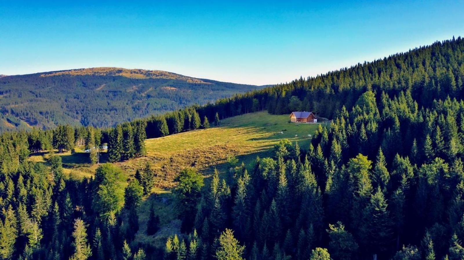 Urlaub Am Glatzl Bauernhof Villa Sankt Lorenzen am Wechsel Kültér fotó